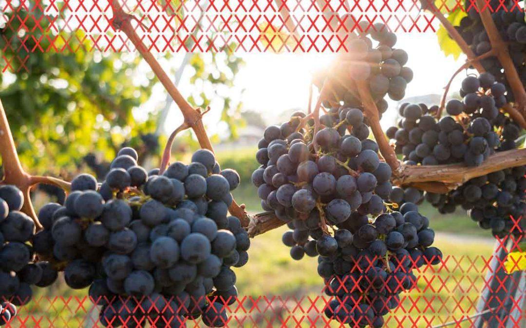 Foto: David Kohler. Unsplash