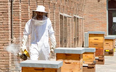 Jaume Clotet: “Per innovar cal no posar-se límits i explorar noves idees”